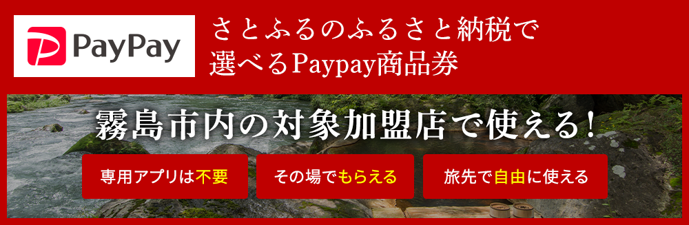 ふるさと納税×paypay