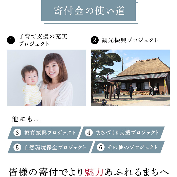 寄付金の使い道