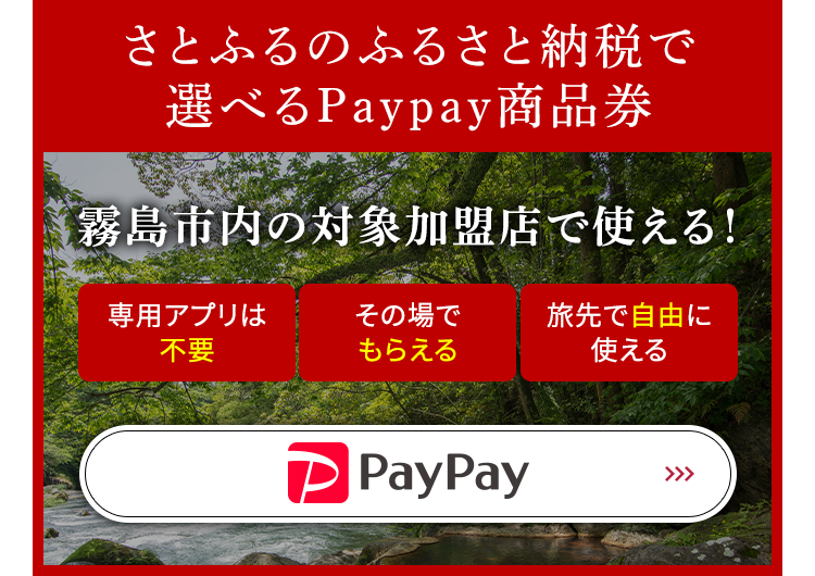 ふるさと納税×paypay